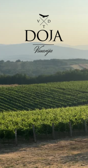 baner Štampar vinski magazin vino fino