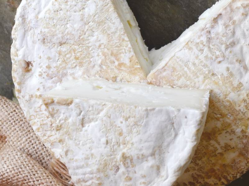gastro brevijar sasvim drugačiji sir vinski magazin vino fino