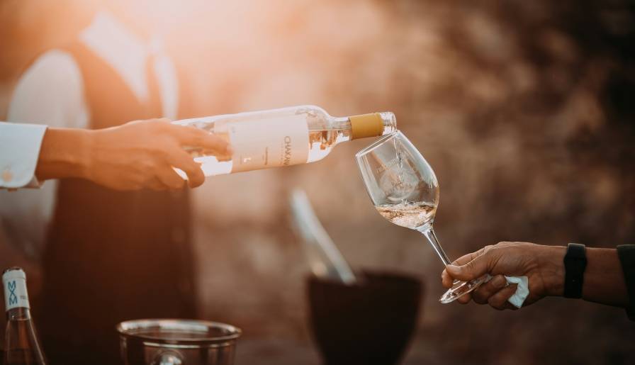 izdvojeno hedonizam jača organizam vinski magazin vino fino