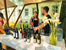 novost vinski spektakl u srcu zrenjanina vinski magazin vino fino