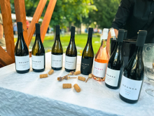novost vinski spektakl u srcu zrenjanina vinski magazin vino fino