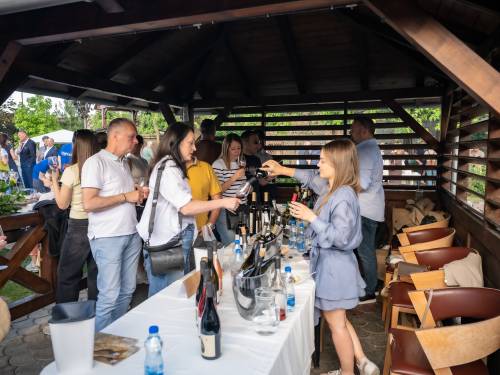 novost aqua doria fest dva dana uživanja na dunavu vinski magazin vino fino