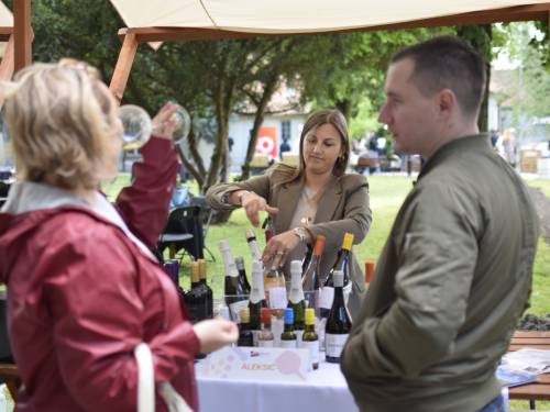 novost banatski festival vina ponovo u humanitarnoj misiji vinski magazin vino fino