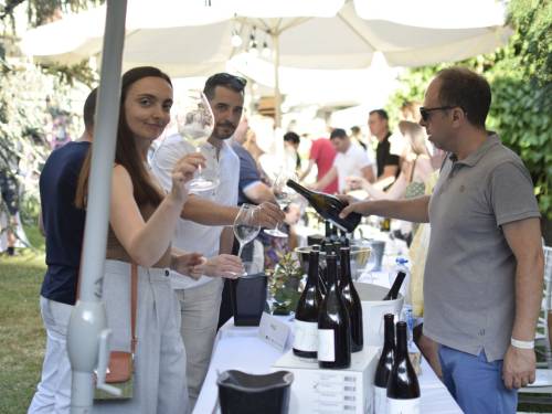 novost dočekajte leto uz grašac vinski magazin vino fino