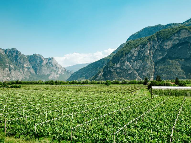 novost italija od severa do juga vinski magazin vino fino