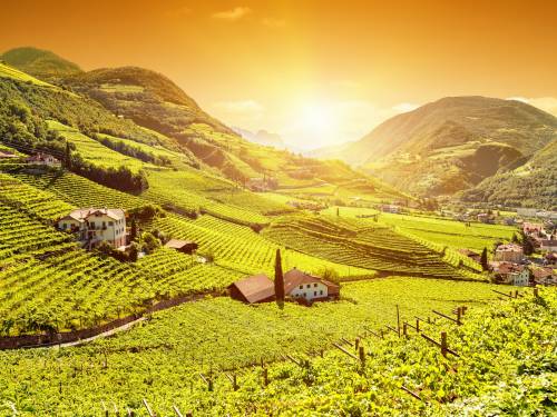 novost italija zemlja vina vinski magazin vino fino