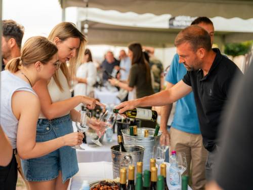 novost jun u znaku grašca vinski magazin vino fino