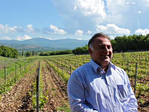 novost kadarka iz srbije posaĐena je u turskoj vinski magazin vino fino