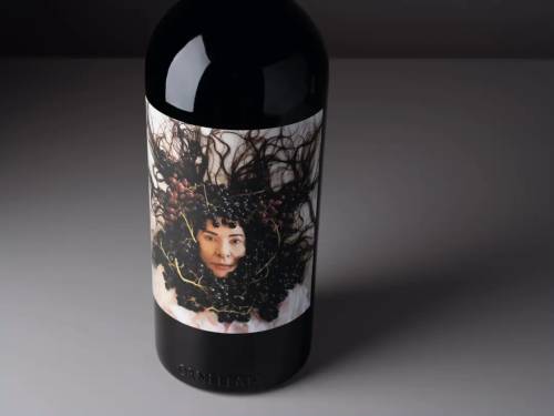 novost marina abramović na etiketi vina ornellaia vinski magazin vino fino