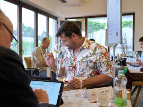 novost trofeji za srpske grašce na grow du monde vinski magazin vino fino