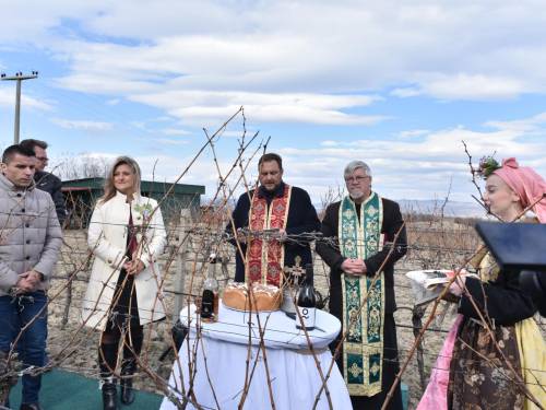 novost u tikvešu održano svečano orezivanje vinograda vinski magazin vino fino