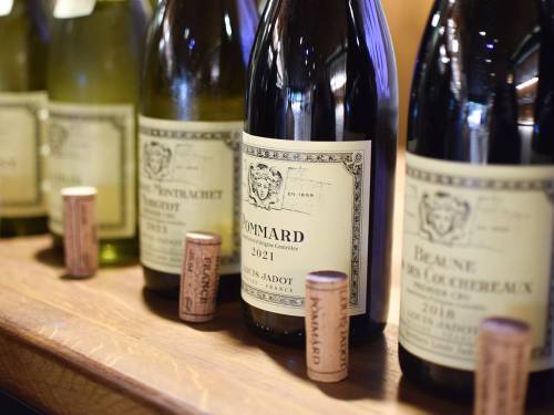 novost vina pod znakom bahusa vinski magazin vino fino