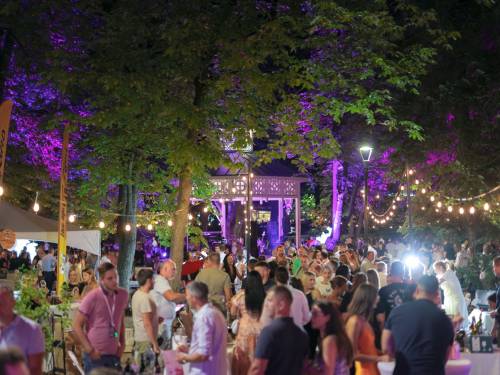 novost vino i muzika pod krošnjama vrnjačkog parka vinski magazin vino fino