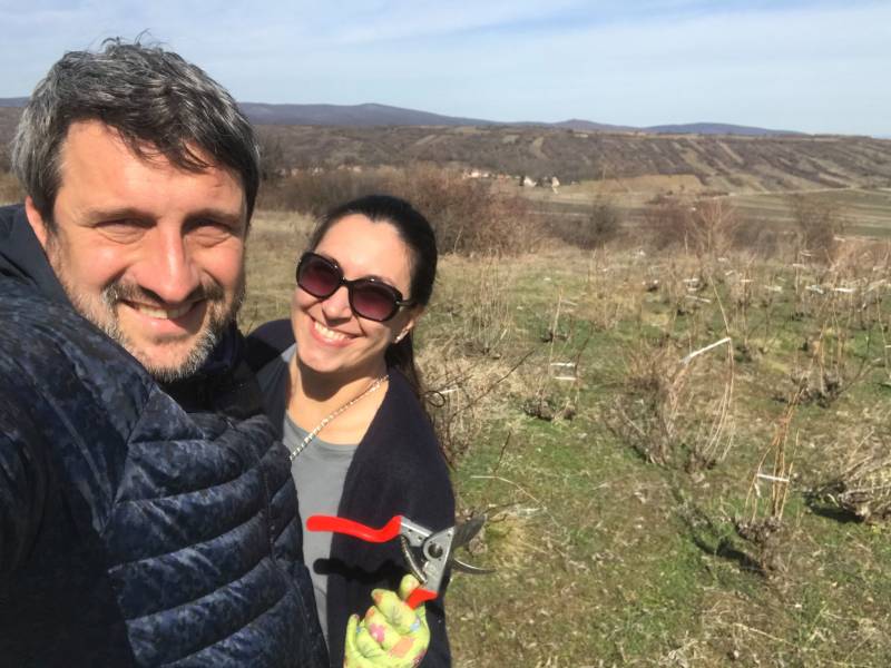 novost zemunska pijaca kuva za bojana bašu vinski magazin vino fino