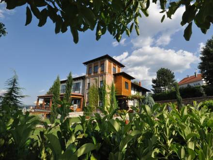 restoran nedelje vinogradi vinski magazin vino fino