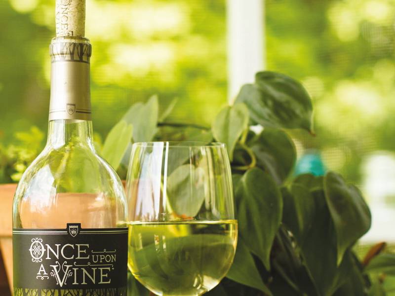 vinopis lepo vaspitani divljak vinski magazin vino fino