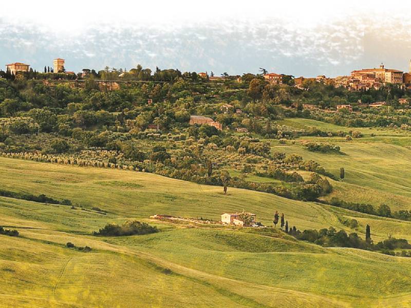 vinopis malvazija vinski magazin vino fino